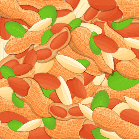 The peanut background. Closely spaced delicious nuts vector illustration. Nuts pattern, peanut fruit in the shell, whole, shelled, leaves, appetizing looking for packaging design of healthy foodのイラスト素材