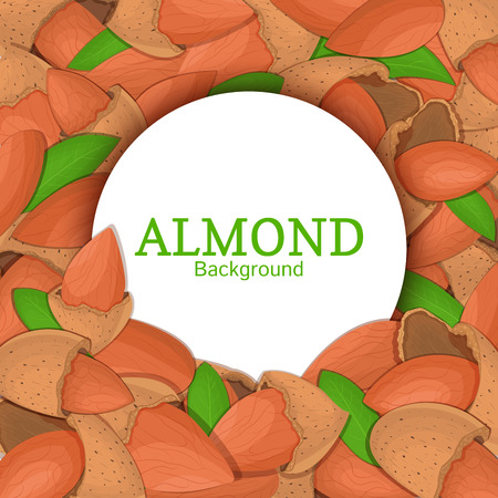 Round white frame on almond nut background. Vector card illustration. Circle Nuts frame, walnut fruit in the shell, whole, shelled, leaves appetizing looking for packaging design of healthy foodのイラスト素材