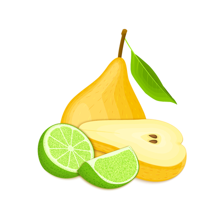 Vector composition of a few yellow pears and citrus lime.のイラスト素材