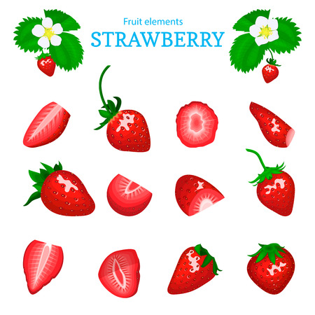 Set of a fresh red strawberry. Berry cut, piece of half slice leaves, flower. Collection of ripe strawberry fruits for packaging design of juice, breakfast, jam label, ice cream, smoothies.のイラスト素材