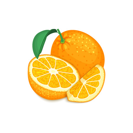 Composition of tropical orange fruits. Ripe vector citrus orange fruit whole and slice appetizing looking. Group of tasty juicy fruits for the packaging design of juice, breakfast, healthy foodのイラスト素材