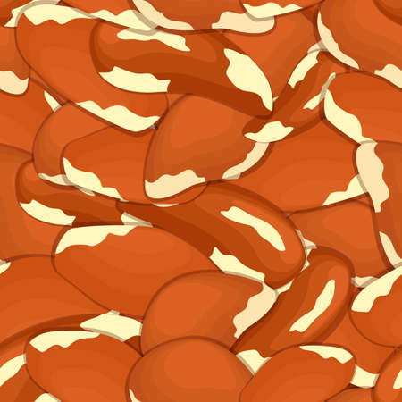 Vector seamless pattern brazil nut.のイラスト素材