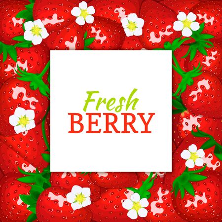 square white label on ripe strawberry background. Vector card illustration.のイラスト素材