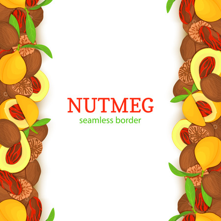 Nutmeg spicy verticall seamless border. Vector card illustrationのイラスト素材