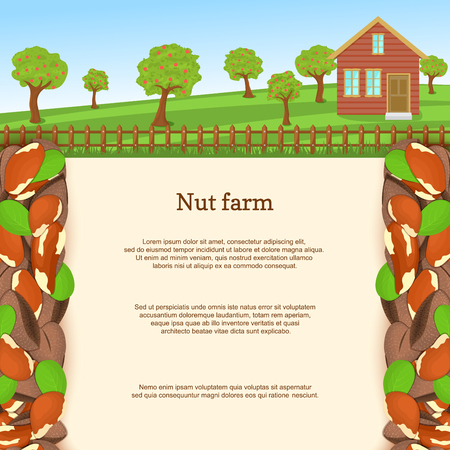 Vector illustration of a brazilian nut farm. Brazilnut border. House, fence, fruit, trees, background with paper texture for menu design, food packaging, breakfast, diet, detox.のイラスト素材