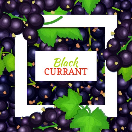 Square white frame and rectangle label on black berry background. Vector card illustration. Black currant fruit and leaves for packaging design juice, jam, ice cream, smoothies, detox, cosmetics, teaのイラスト素材