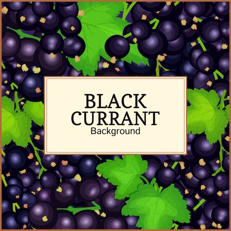 Square label on ripe black currant background. Vector card illustration. Black berry branch fresh and juicy currant for packaging design juice, jam, ice cream, smoothies, detox, cosmetics cream, teaのイラスト素材