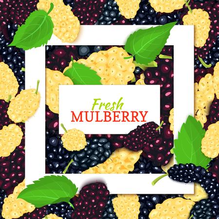 Square white frame and rectangle label on mulberry background. Vector card illustration. Mulberries fruit and leaves for packaging design food juice, jam, ice cream, smoothies, detox, cosmetics, teaのイラスト素材