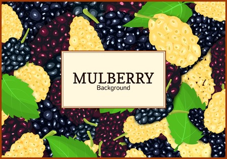 Rectangular label on ripe mulberry berry and leaves background. Vector card illustration. Mulberry beries fresh and juicy frame for design of food packaging juice breakfast tea detox diet.のイラスト素材