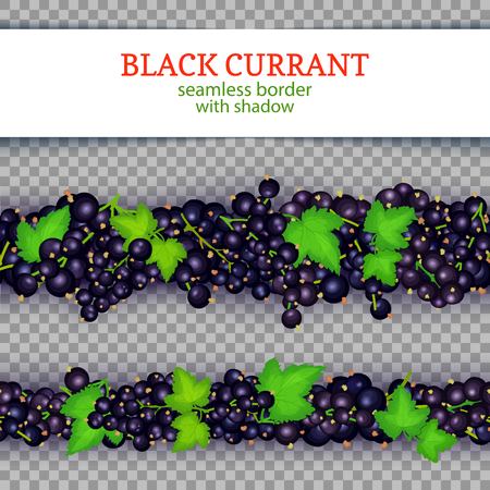 Black currant fruit horizontal seamless borders. Vector illustration card Wide and narrow endless strip with black currant berries for design of food packaging juice breakfast, cosmetics, detox dietのイラスト素材