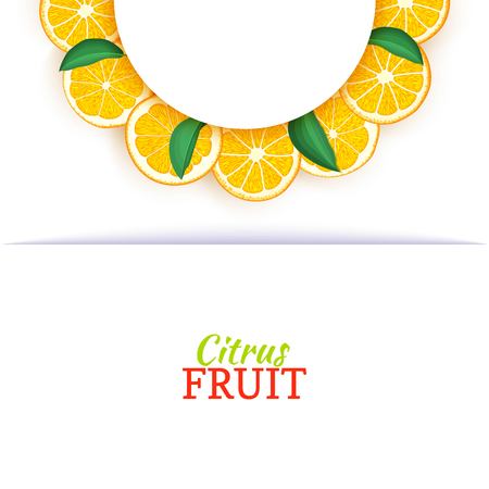 Semicircle white frame composed of delicious tropical oranges. Vector card illustration. Orange mandarin citrus half-round frame for design of food packaging juice breakfast cosmetics tea detox dietのイラスト素材