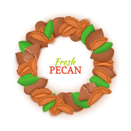 Round frame composed of pecan nut. Vector card illustration. Nuts filbert frame, hazelnut fruit in the shell, shelled, leaves for packaging design food, butter, oil, detox cosmetics creamのイラスト素材