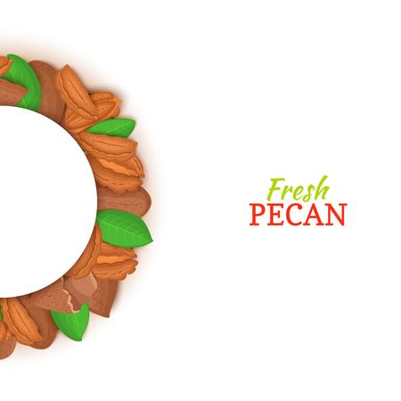 Semicircle frame composed of pecan nut. Vector card illustration.のイラスト素材
