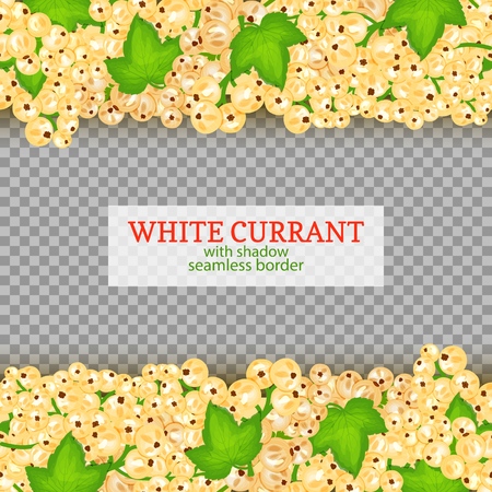 White currant fruit horizontal seamless borders. Vector illustration card Wide and narrow endless strip with white currant berries for design of food packaging juice breakfast, cosmetics, tea, detox.のイラスト素材