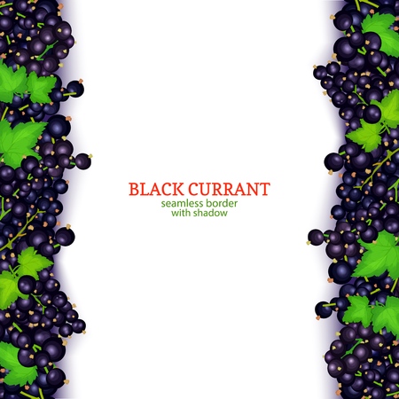 Black currant fruit vertical seamless borders. Vector illustration card Wide and narrow endless strip with white currant berries for design of food packaging juice breakfast, cosmetics, tea, detox.のイラスト素材