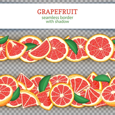 Wide and narrow endless strip with red pomelo for design of food packaging juice breakfast, cosmetics, tea, detox diet.のイラスト素材
