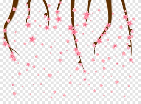 Sprigs of cherry tree flowers sakura fall spatter the spring annual season of japan in paper cut style. Asian decoration for Mid-Autumn Festival, Chuseok, other holidays. Vector Illustrationのイラスト素材