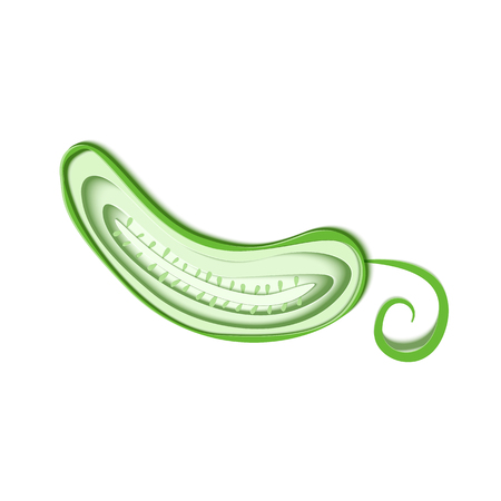 Paper cut half green cucumber. Vector paper craft design in the form of ripe slice cucumber vegetable with leaf. Vector illustration. Paper applique art style vegetable. Origami conceptのイラスト素材