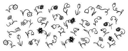 Set of flowers drawing by pastel or charcoal pencil. Black chalk line flower collection, simple design element on white chalkboard. Like childrens drawing cute floral collection. Vector illustration.のイラスト素材