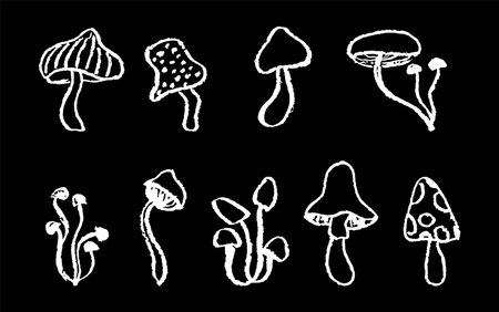 Set of fantasy mushrooms. Line art funny floral elements. Black chalk or pastel mushroom sketch collection in 1960s or 1970s style. Vector groovy icons in children style, drawn by crayon pencil.のイラスト素材