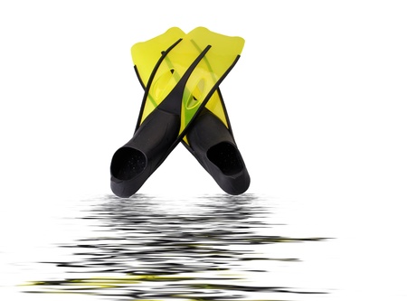 Yellow and black flippers isolated on whiteの写真素材