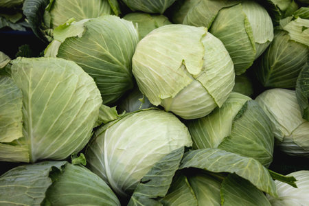 Cabbage on display at a farmers market in the United States.の写真素材