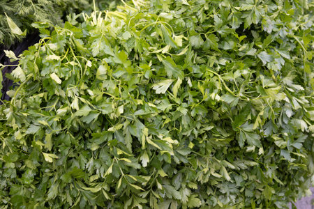 Parsley leaves on a market stall, closeup of photoの写真素材