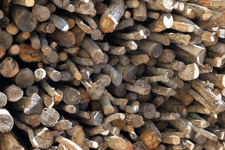 Stacked Firewood Logs Close-upの写真素材