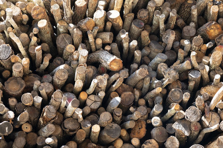 The natural wood surface and the irregular arrangement of the logs create a visually intriguing patternの写真素材
