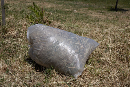 Plastic Bag Filled with Dry Grass on a Fieldの写真素材