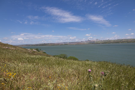 Scenic Lake View from a Grassy Hill on a Sunny Day.の写真素材