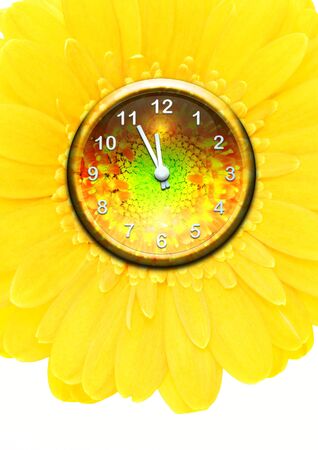 flower clock with yellow gerberの写真素材
