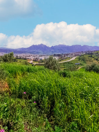 Landscape on the side of the cityの写真素材