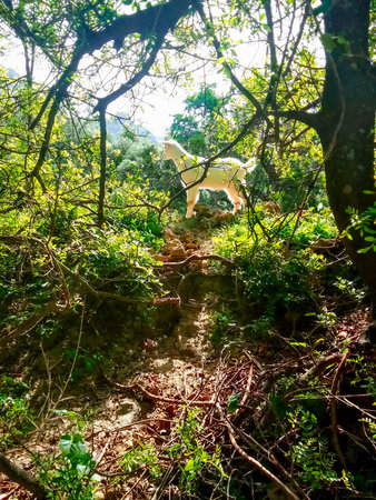 A goat among the treesの写真素材