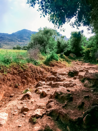 Public country footpathの写真素材