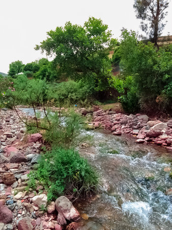 A small valley in which a water stream flows downの写真素材