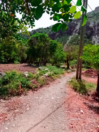 A footpath in the nature of the countrysideの写真素材