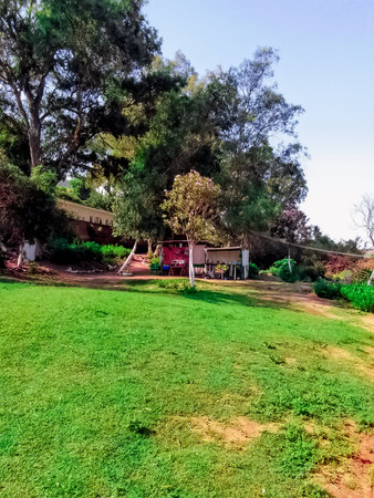 Small restaurant located among natureの写真素材