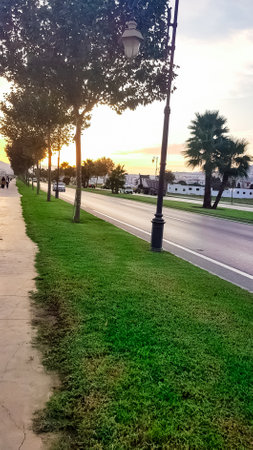 Great view of the sunsetの写真素材