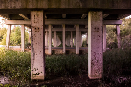 Opposing Twinsの写真素材