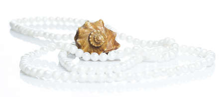 Seashell and beautiful pearl necklace on white backgroundの写真素材