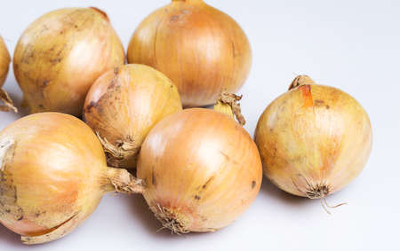 Fresh onion over white backgroundの写真素材
