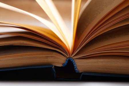 Pages of old book