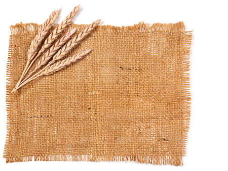 Sackcloth and wheat earsの写真素材