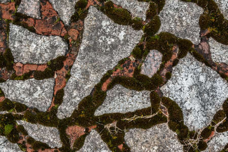 Background of stones with mossの写真素材