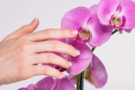 Hand with french manicure and orchid flowerの写真素材