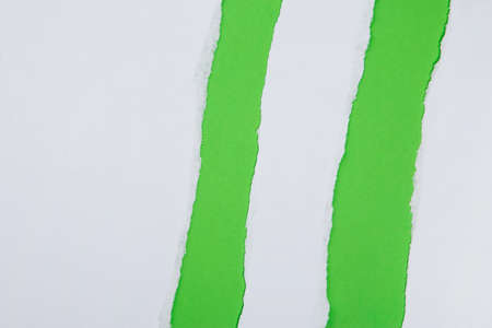 Torn white paper on green backgroundの写真素材
