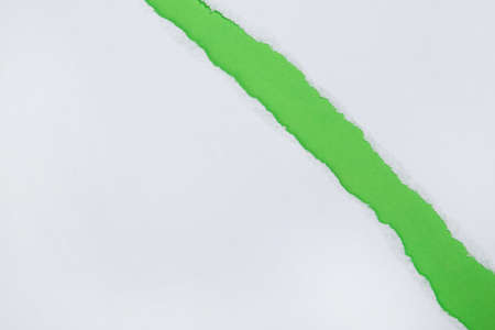 Torn white paper on green backgroundの写真素材