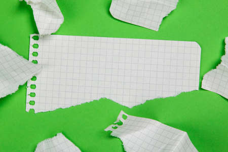 Torn pieces of checkered paper on green backgroundの写真素材