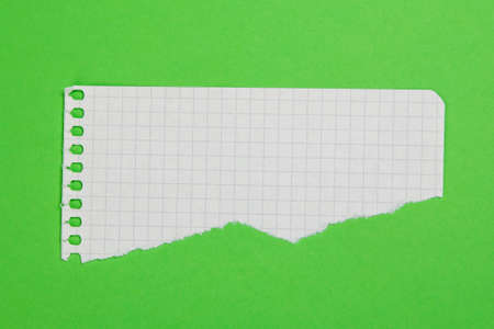 Torn piece of checkered paper  on green backgroundの写真素材
